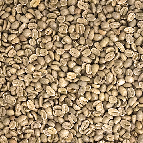 Peru El Palto Organic SHG EP Grade 1, Green Coffee - UNROASTED