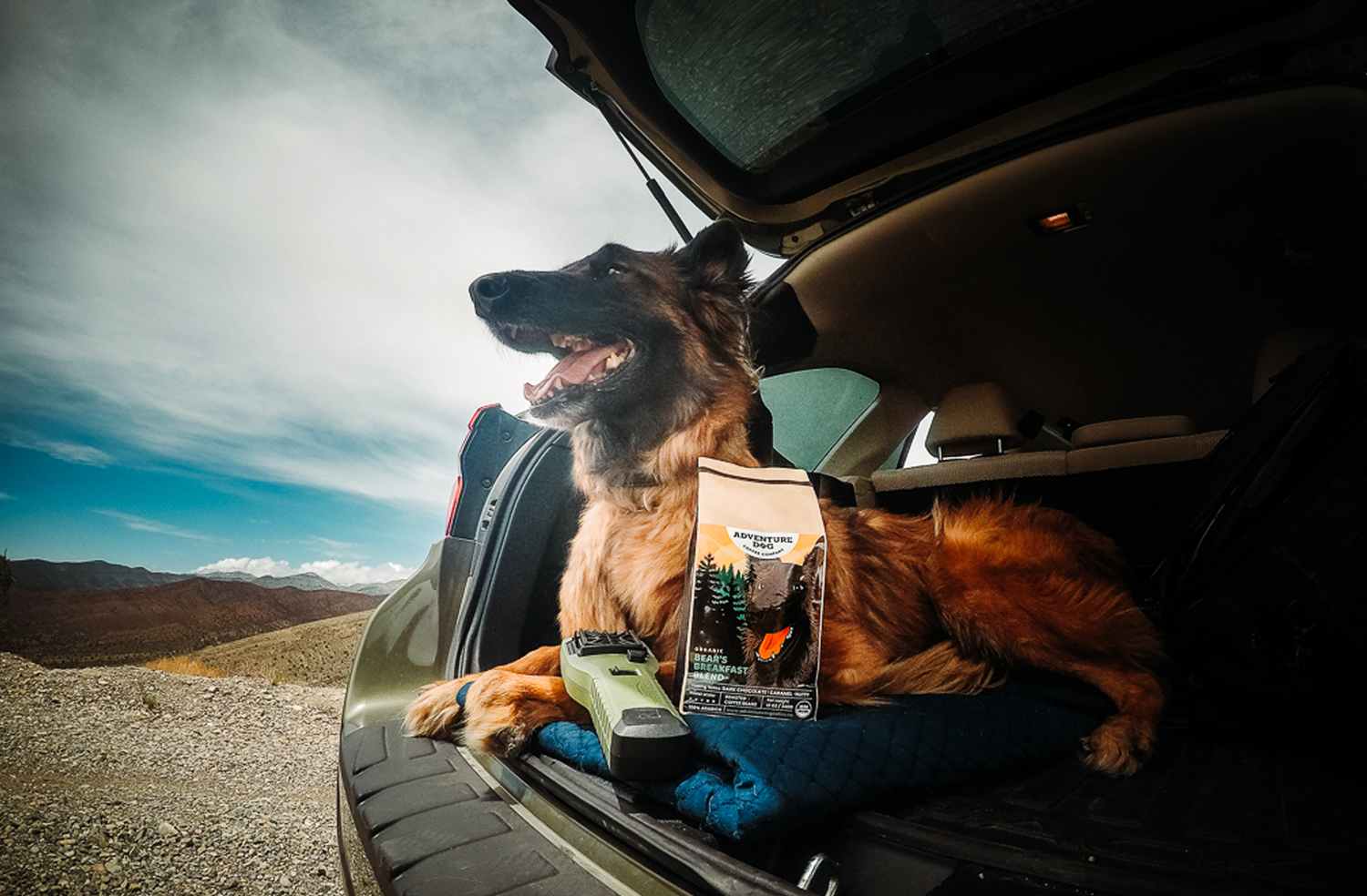 Bear enjoying the southwest mountains with a bag of his fresh-roasted Breakfast Blend coffee.